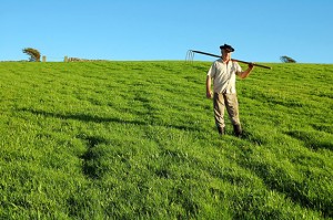 Agricoltore in campo erboso
